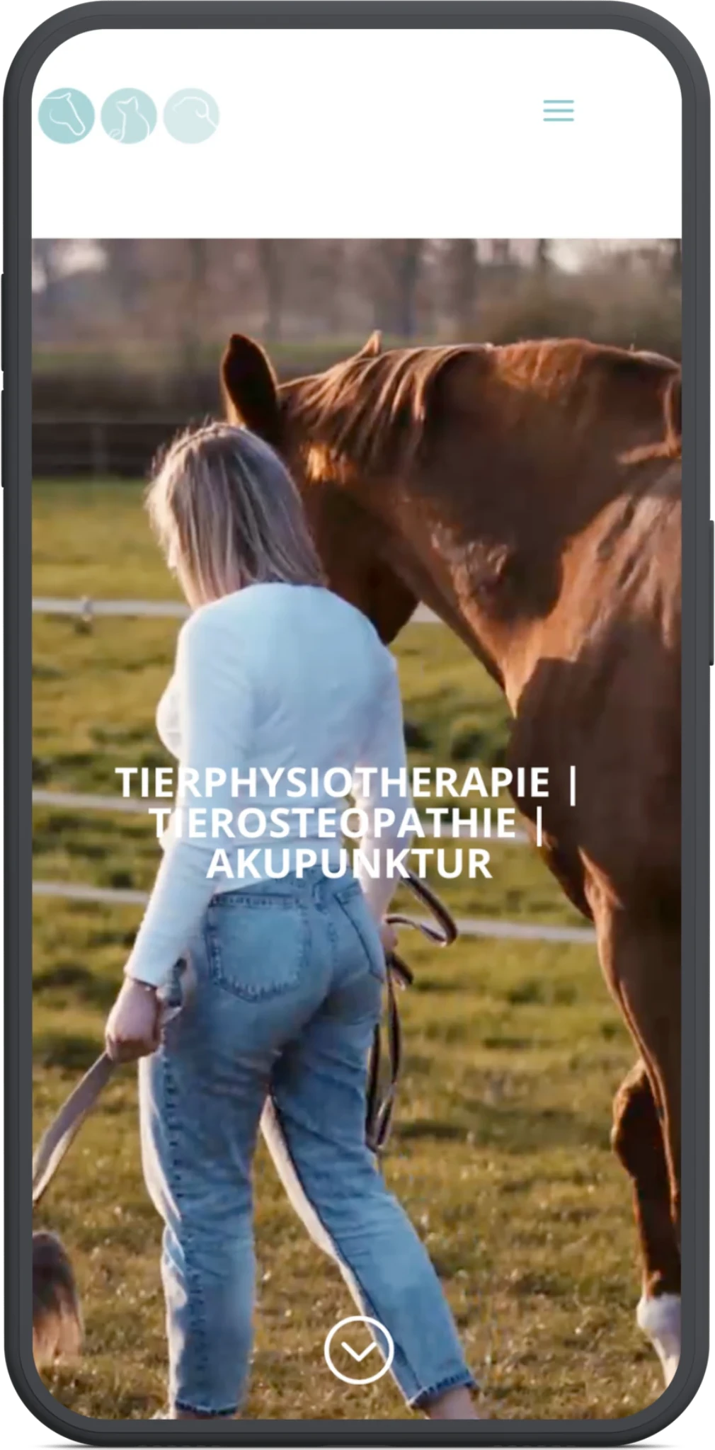 tiertherapie-kuehn mobile mockup