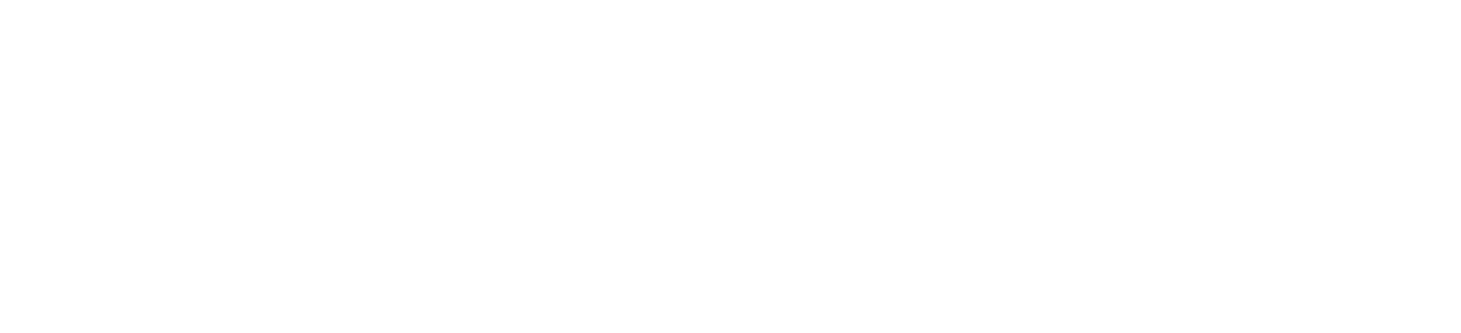 Blueberry IT Logo