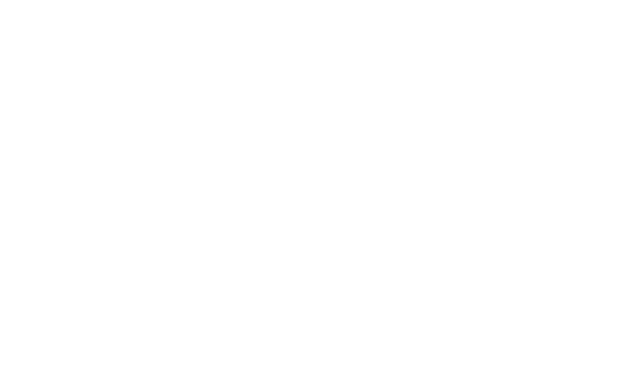 Partner: Cloudways – Managed Hosting Partner