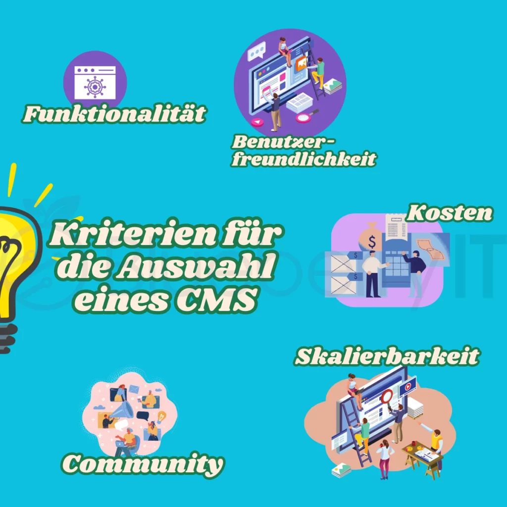 blueberry it blogbeitrag cms kriterien zur auswahl eines cms